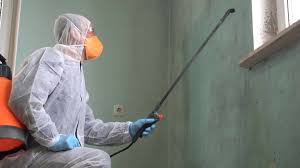 Why You Should Choose Our Mold Remediation Services in Pelham Manor, NY